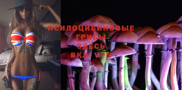 спиды Балабаново