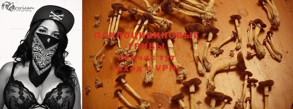 спиды Балабаново