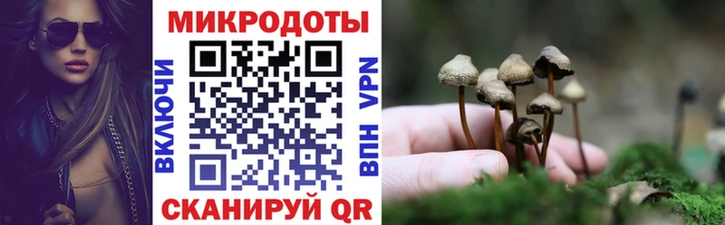 Псилоцибиновые грибы мицелий Тихорецк